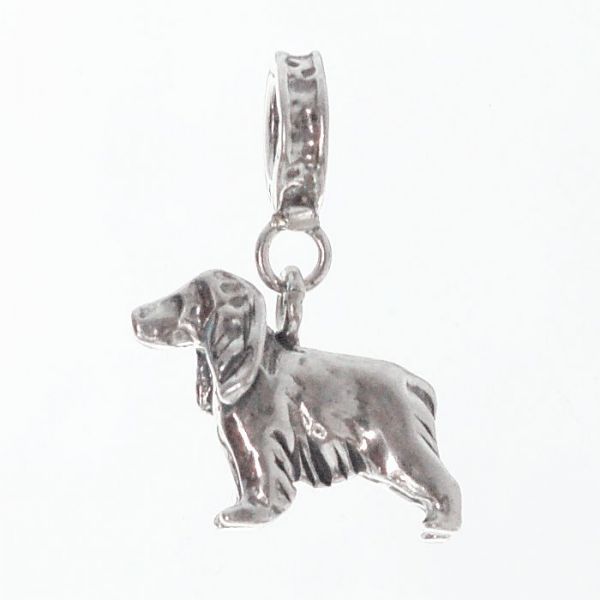 Charm Jagdhund