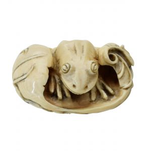 Frosch im Lotusblatt Netsuke