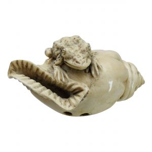 Kröte auf Muschel Netsuke Mammutelfenbein