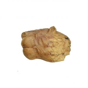 Mammutelfenbein Löwenkopf Relief- Replik -aus Vogelherdhöhle (Schwäbische Alb)